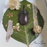 Flora & Fauna – Insect Collage Workshop