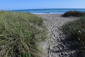 We did not find results for: Hutchinson Island Amy S Bird Blog