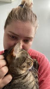 How can I find my lost cat Burr in Fort Mitchell KY?