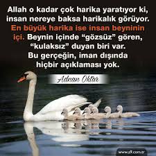 Allah O Kadar Cok Harika Yaratiyor Ki Insan Nereye Baksa Harikalik Goruyor En Buyuk Harika Ise Insan Beyninin Ici Beyn Instagram Posts Instagram Best Friends