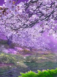 Download high quality flower pictures for your mobile, desktop or website. Flower Nature Wallpaper Gif