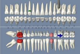 Open Dental Software Open Source Practice Management