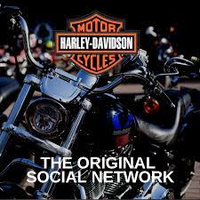 Harley Davidson Quotes Sayings Memes Harley Davidson Quotes Harley Davidson Motorcycle Women