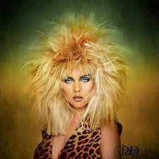 Pin On Debbie Harry