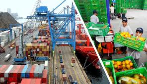 Balanza comercial marca nuevo récord y supera los USD 38 mil millones en doce meses | Gan@Más