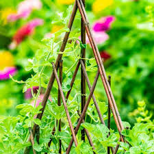 Free standing trellis with base. 10 Best Garden Trellis Ideas In 2021 Hgtv