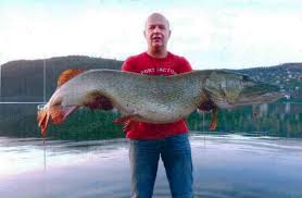 Destiné aux clients de l'industrie. Brochet Record Les 10 Plus Gros Brochets Peches En France