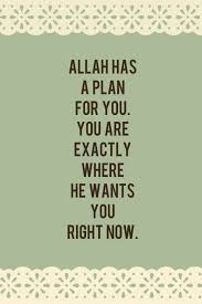 Bismillah Ir Rahman Ir Rahim Alhamdulillahi Rabbil Alamin Peace Be Upon You Trust Allah S Plan Islamic Inspirational Quotes