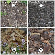 4 Tipes Of Wood Chips Back To Eden Garden Wood Chips Landscaping Wood Chips Garden Mulch Landscaping