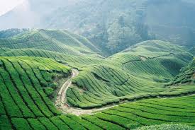 Maybe you would like to learn more about one of these? Waktu Solat Malaysia Waktu Solat Dot Net