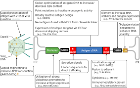 Image result for Gold 1998 AAV
