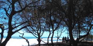 Simak artikel yang berisi informasi lokasi dan rute, fasilitas, harga tiket masuk pantai bugel. Pantai Bugel Pantai Untuk Si Penyuka Keheningan