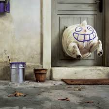 Good wallpapers for ipad funny. Funny Fat Dog Ipad Wallpaper Download Free Ipad Wallpapers Backgrounds