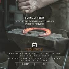 EZRA YODER (@no_reins__horses_llc_) • Instagram photos and videos