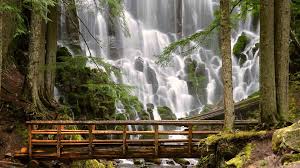 Free Beautiful Nature Wallpapers Wallpaper Cave Download all nature wallpapers for free and use them for your desktop or smartphone screen. free beautiful nature wallpapers
