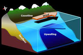 Brrrr Upwelling Season Is Here For California Surfing Costa Rica Water