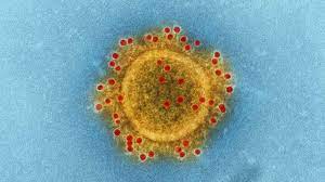 Are symptoms of the delta variant different? Dna Explainer Difference Between Delta And Delta Plus Variants Symptoms Treatment Who S At Risk