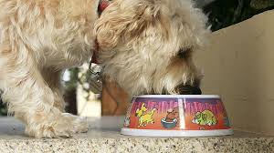 Pro pac, pro pac ultimates, sportmix, sportmix wholesomes, sportstrial. Us Pet Food Recalled After 70 Dogs Die And Others Fall Sick Bbc News
