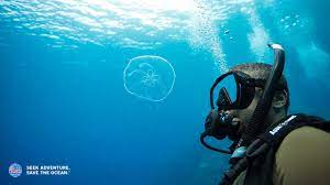 How To Get Scuba Certified - Youtube