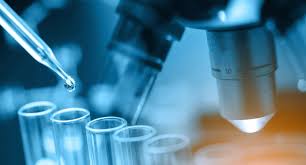 Image result for Research Premise