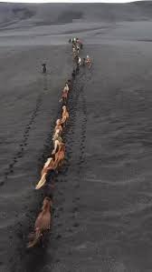 Nancy Vanweyenberg added a new photo. - Nancy Vanweyenberg