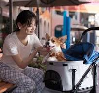 Factory Wholesale 600d Oxford Fabric Pet Stroller 4 Wheels Dog Stroller