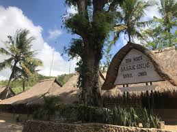 Kotoran sapi atau kerbau yang digunakan haruslah yang keluar pertama di pagi. Pesona Desa Wisata Dusun Ende Di Nusa Tenggara Barat Mister Pangalayo