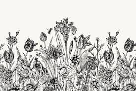 Wedding Set B W Floral Illustration Floral Illustrations Illustration Simple Line Drawings