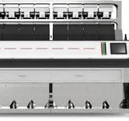PET Flakes Polymer Sorter ToronGI™ Series