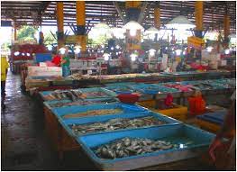 Kami pembekal ikan segar ikan merah ikan talapia dan ikan kerapu borong direct dengan harga borong murah akan delivery area selangor kuala lumpur and seremban watsap 0126768884. Kompleks Pasar Borong Selangor Perbadanan Kemajuan Pertanian Selangor
