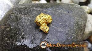 For a metal detector to be able to reliably find gold nuggets in the areas that they occur, it needs to be able to handle highly mineralized ground and the natural variations in. Top 6 Detectors For Finding Gold 2021 Metal Detecting Explorer