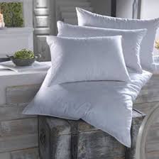Oreiller 100 Duvet Oreille Duvet Blanc