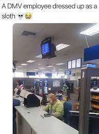 Normal Speed For The Dmv Funny Pictures The Funny Laugh