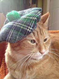 Actually For Lucy S Cousin Cat Hat Irish Tam For St Patrick S Day By Doginafez On Etsy 8 50 Cats Cat Hat Cats With Hats