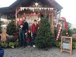 Tickets go fast for annual holiday shows like the nutcracker and vince gill and amy grant christmas special. Christmas Trees For Sale In Nashville Best Locations Pricing And More