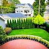 Screening plants grow swiftly, provide privacy, and elevate the look of a home. 1