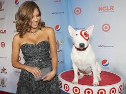 With Jessica Alba English Bull Terriers Bull Terrier English Bull
