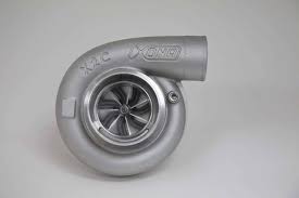 Image result for Turbina holubii