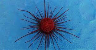 Giornata mondiale per la lotta contro il cancro sabato 6 febbraio: Kuzq Yxj4gaxem