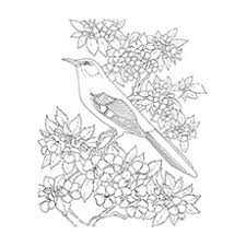 To print, simply click on the printable of your choice. Top 20 Free Printable Bird Coloring Pages Online