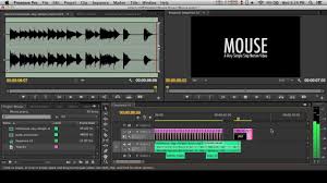 Making A Stop Motion Animation In Premiere Pro Tutorial With Downloadable Actual Images Premiere Pro Tutorials Stop Motion Premiere Pro