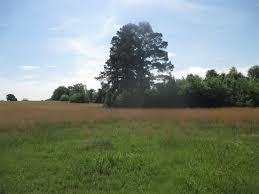 Approximately 7.23 acres of vacant commercial land on u.s. Cattle Ranch For Sale In Hugo Ok Ranch For Sale In Hugo Choctaw County Oklahoma 172237 Ranchflip