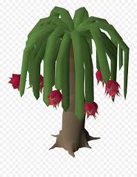 Pink cherry blossom tree, peach tree color, game scene trees, purple, tree branch, branch png. Palm Tree Full Size Png Download Seekpng Runescape Dragon Fruit Tree Emoji Palm Tree Emoji Free Transparent Emoji Emojipng Com