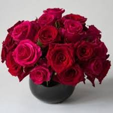 View all long island city (queens) pictures. Long Island City Flower Delivery Local Florist Same Day