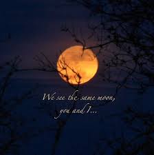 Rumi Full Moon Quotes Moon Quotes Moon