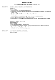 target analyst reporter resume samples