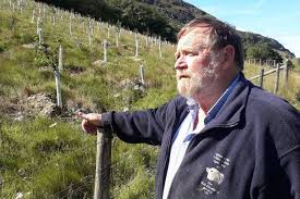 Hybrid poplar is one of the fastest growing trees in north america. Powys Farmer Swaps Sheep For More Profitable Trees North Wales Live