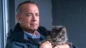 Non così vicino, la recensione del film con Tom Hanks in streaming su Prime  Video