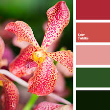 We did not find results for: Moss Green Color Color Palette Ideas