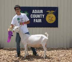 Dairy Goat Show Results